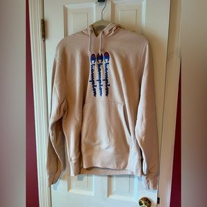 Champion hoodie